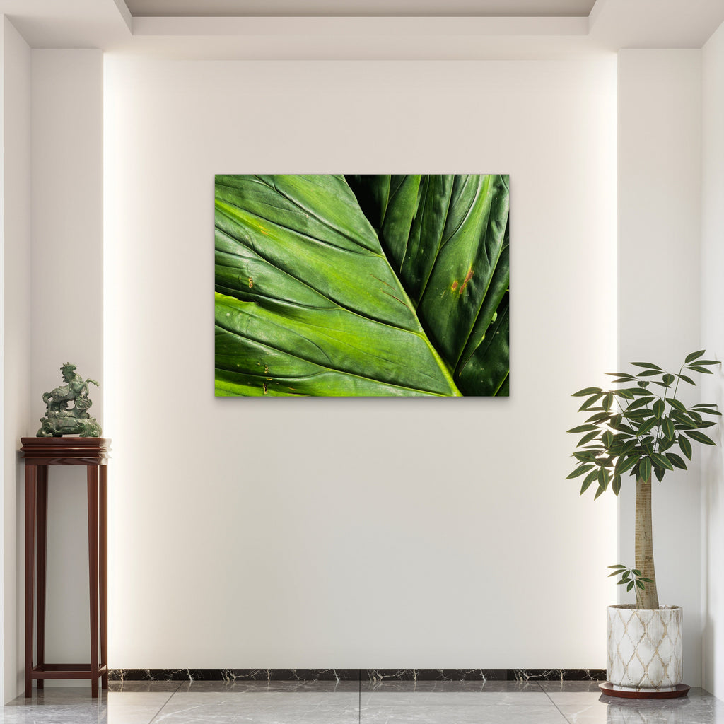 Simplicity of Nature