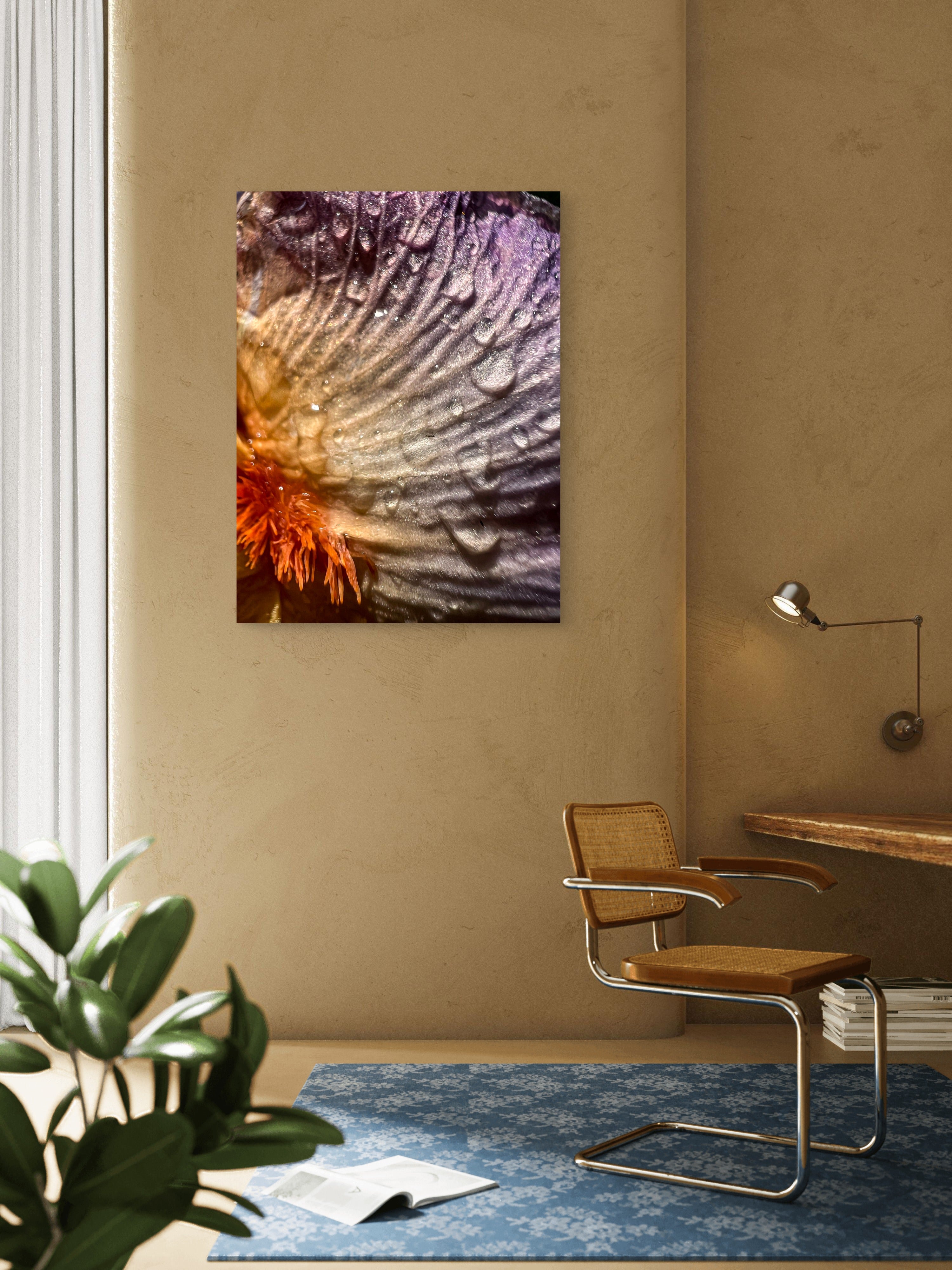 Wild Iris Tongue (2)