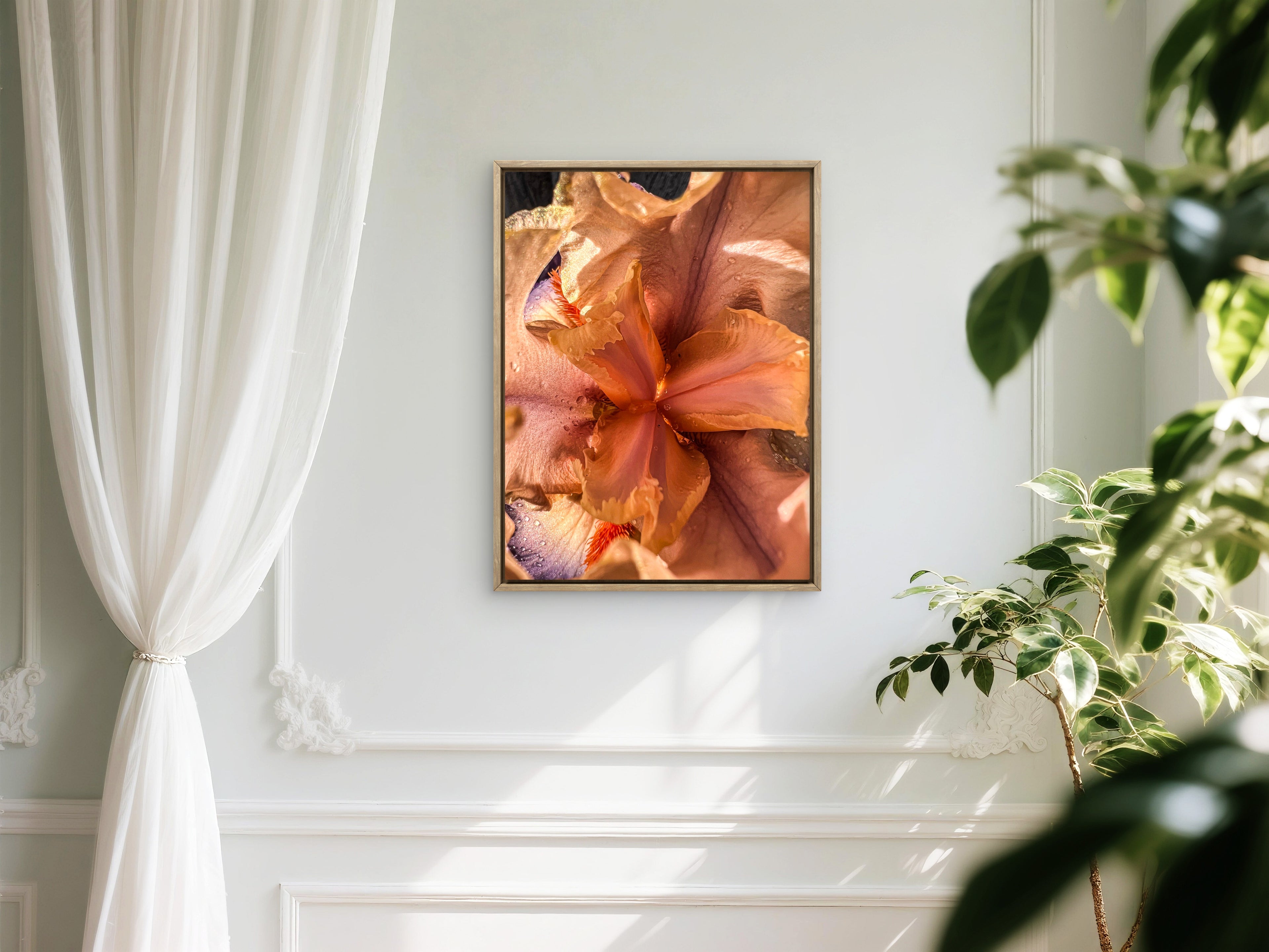 Wild Iris Tongue (4)