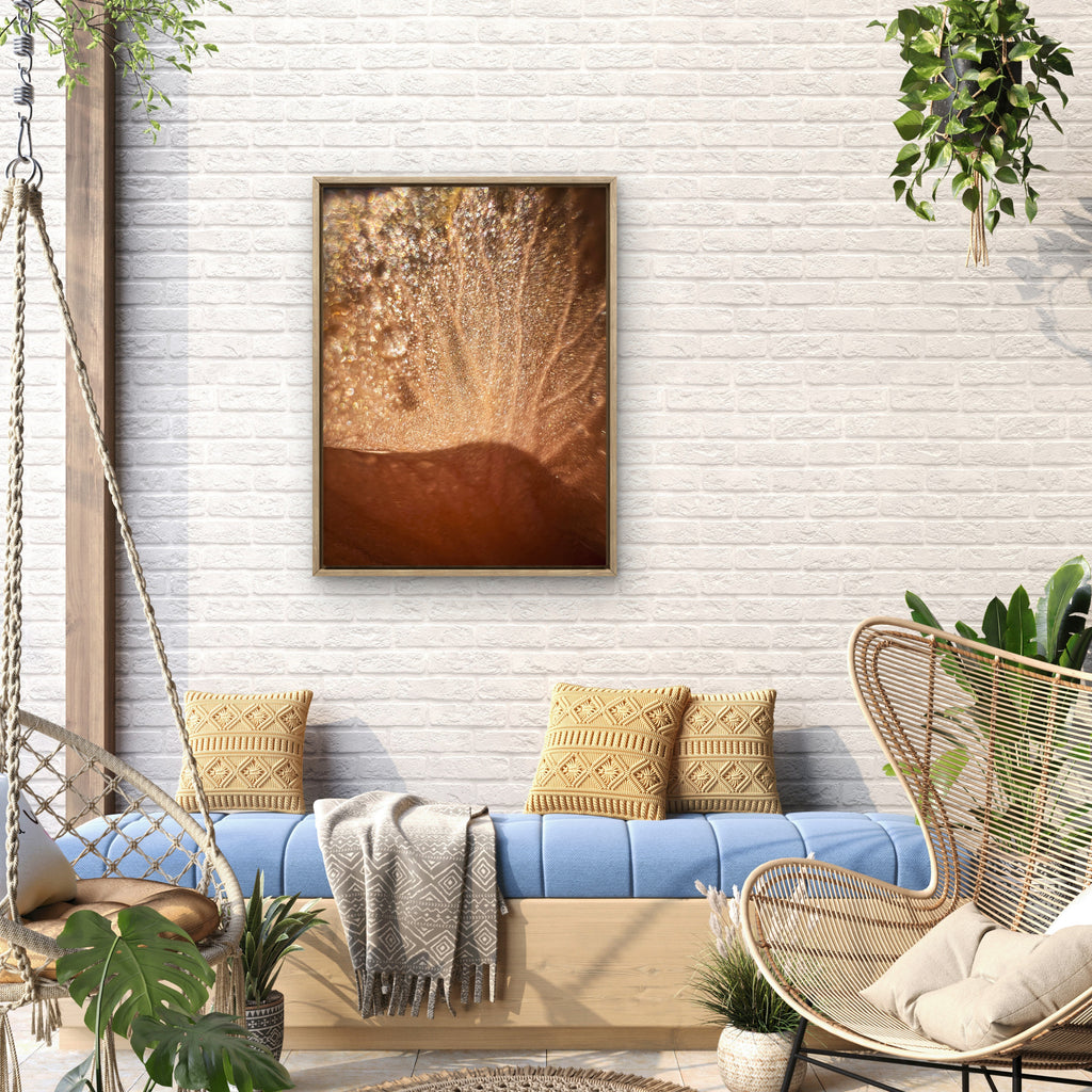 Wild Iris Tongue (3)