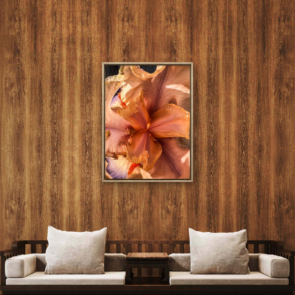 Wild Iris Tongue (4)