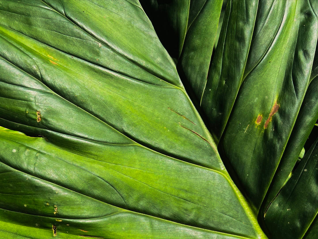 Simplicity of Nature