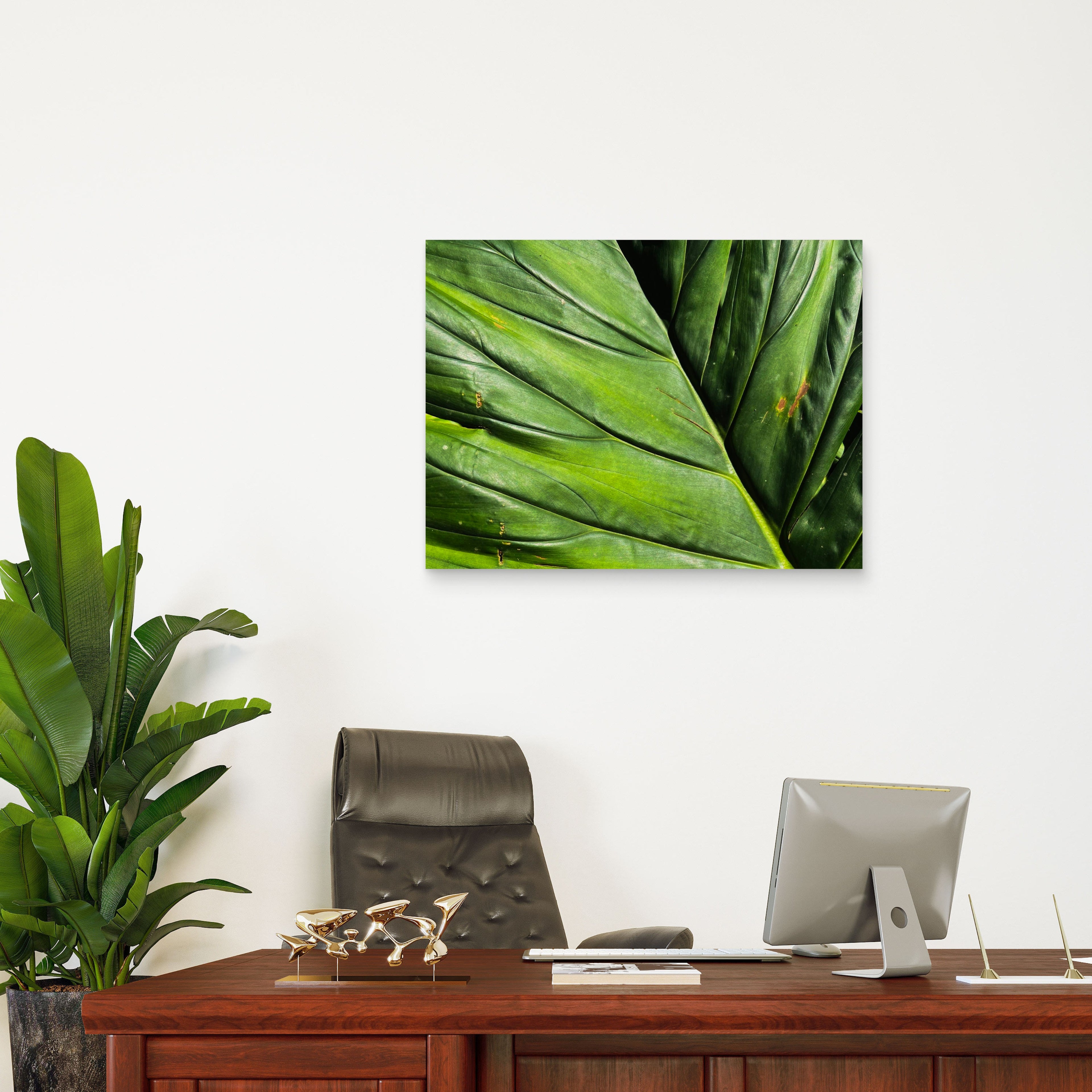 Simplicity of Nature