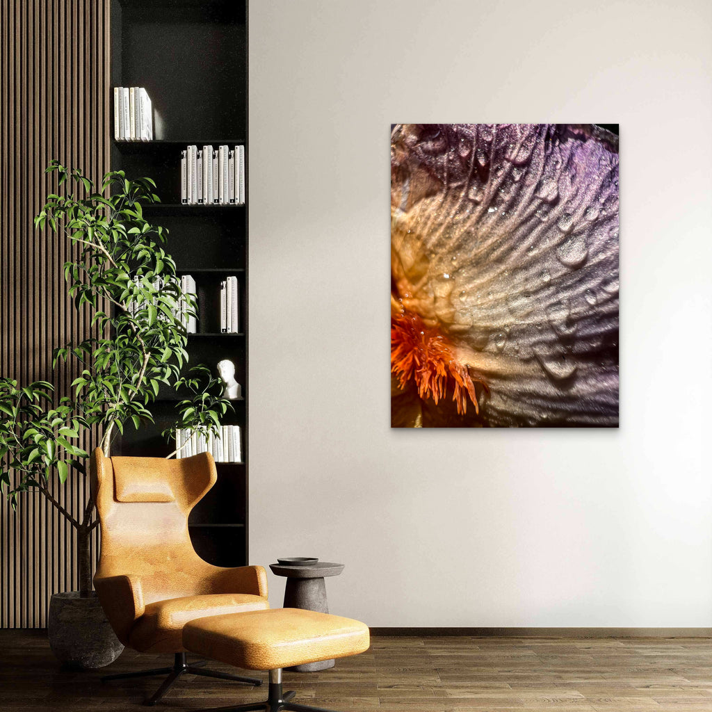 Wild Iris Tongue (2)