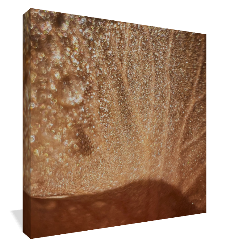 Wild Iris Tongue (3)