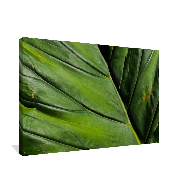 Simplicity of Nature